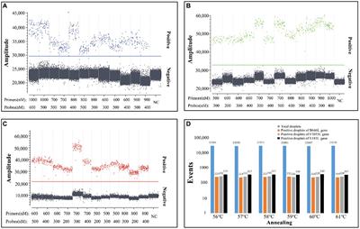 A triplex crystal digital PCR for the detection of genotypes I and II African swine fever virus